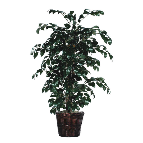 Artificial Trees Wayfair Canada